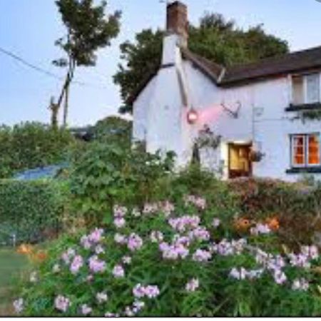 The Northmore Arms Throwleigh Экстерьер фото